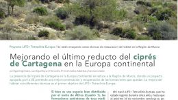 Mejorando el último reducto del ciprés de Cartagena en la Europa continental